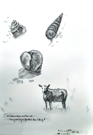 Muscheln und Schaf